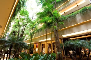shopping-cidade-jardin-3